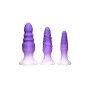 Plug Anale XR Viola Silicone Set 3 Pezzi