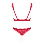 Set di Lingerie Obsessive Bergamore M/L