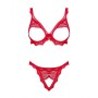 Set di Lingerie Obsessive Bergamore M/L