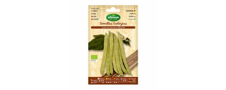 Vegetali